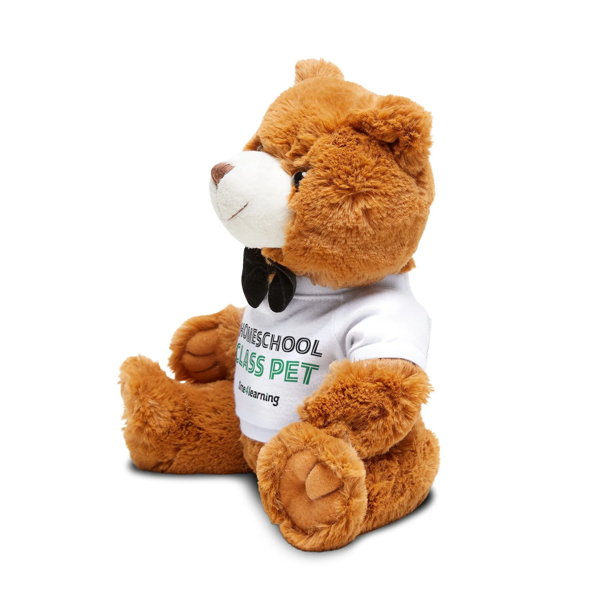 Teddy Bear | Homeschool Class Pet - Cuddly Companion, Gift for Homeschool Kids, Soft Toy for Back to Homeschool - Image 3
