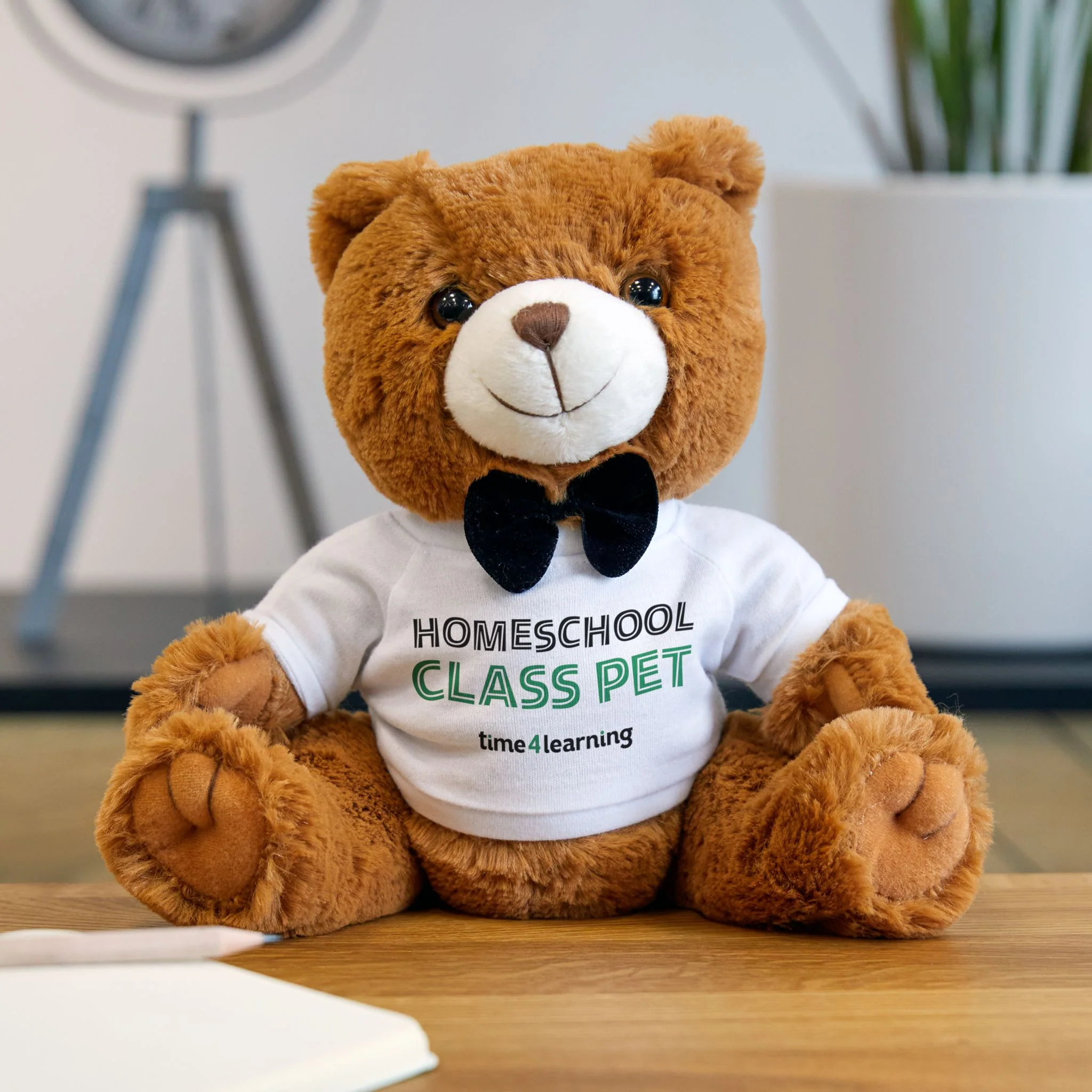 Teddy Bear | Homeschool Class Pet - Cuddly Companion, Gift for Homeschool Kids, Soft Toy for Back to Homeschool - Image 5